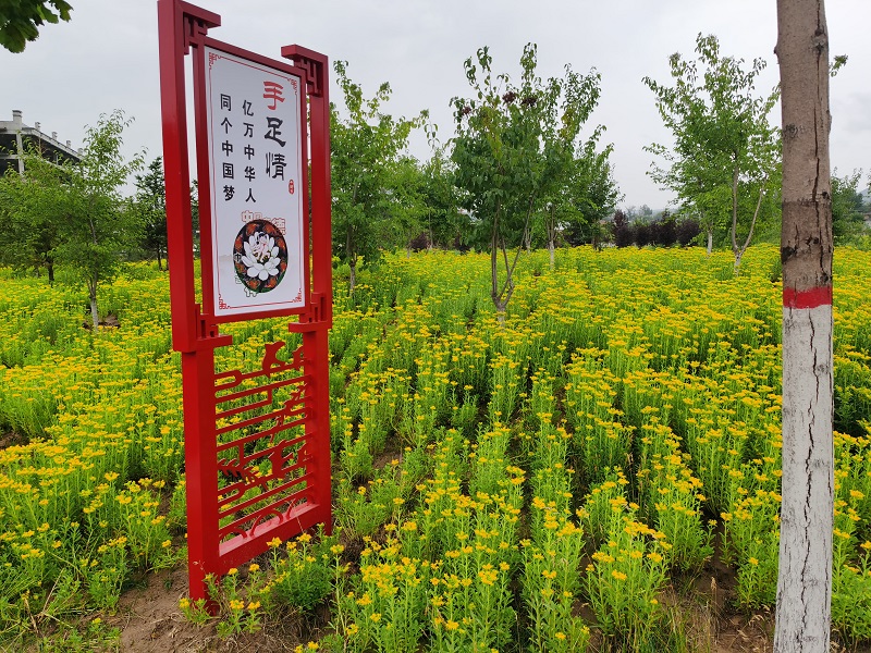 導視牌